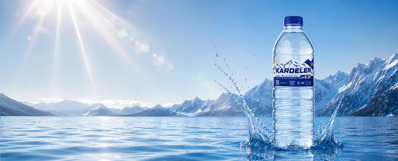 500 ml Pet Şişe Doğal Mineralli Su