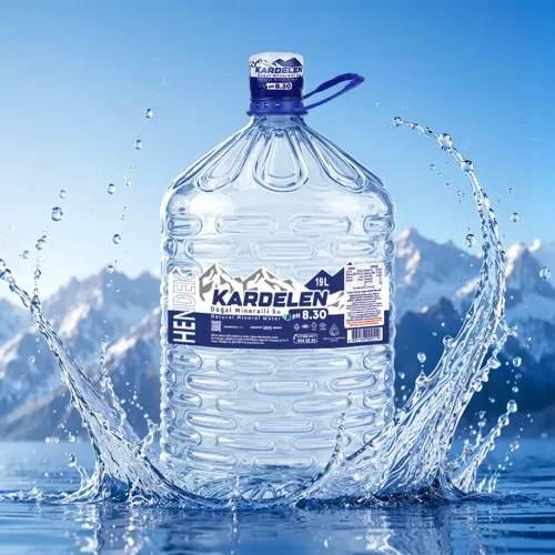 19 L Tek Kullanımlık Pet Su